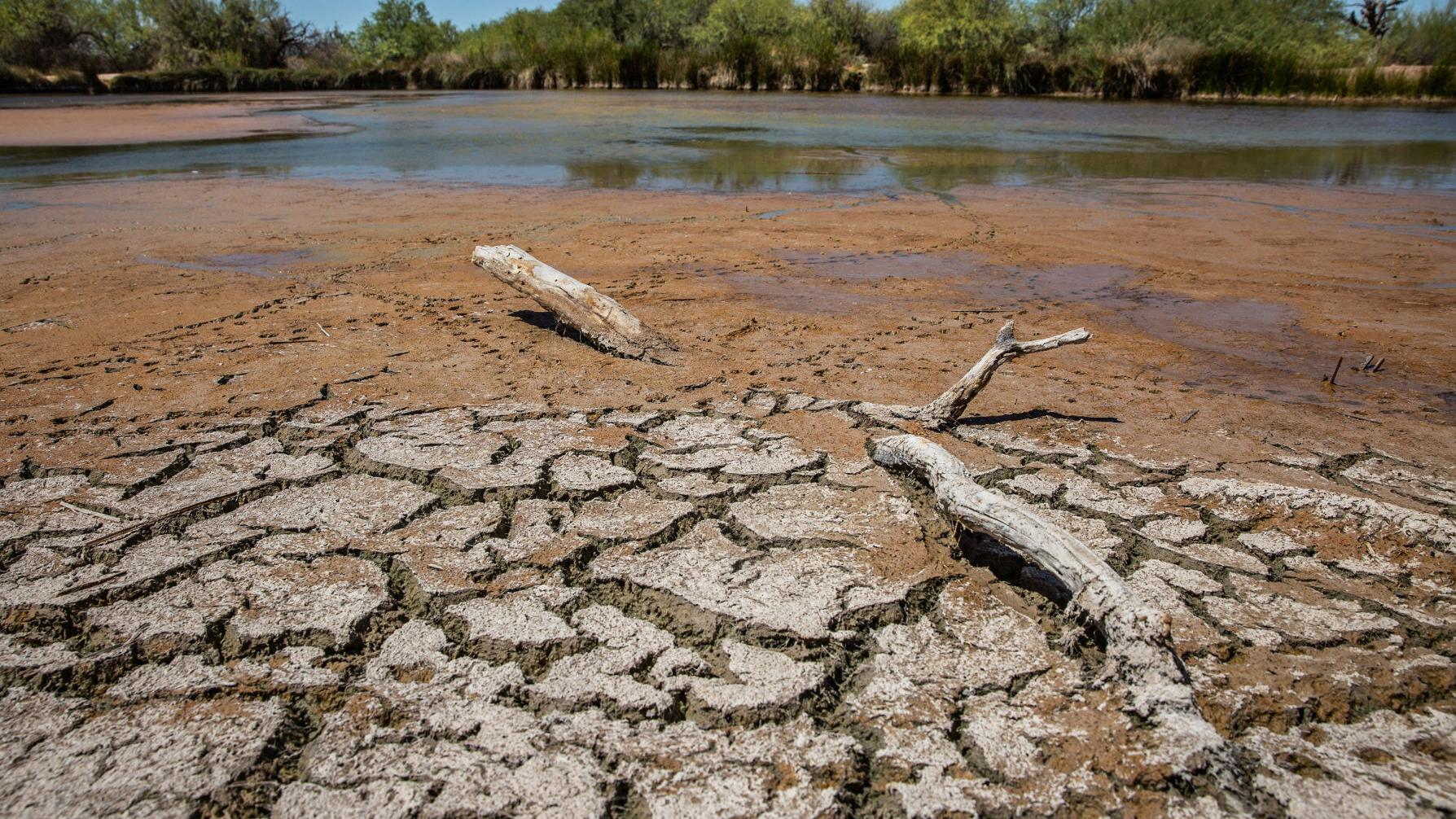 Rare watering hole near border wall southwest of Tucson is drying up